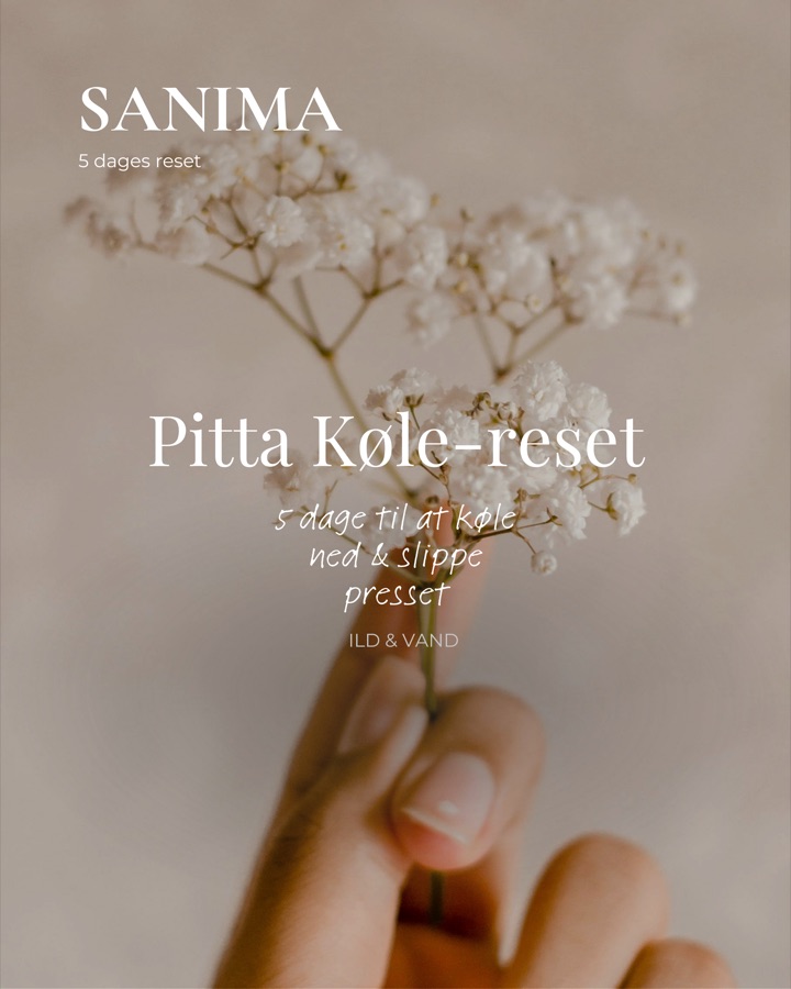 Forsiden på Pitta Køle-reset, en 5-dages reset